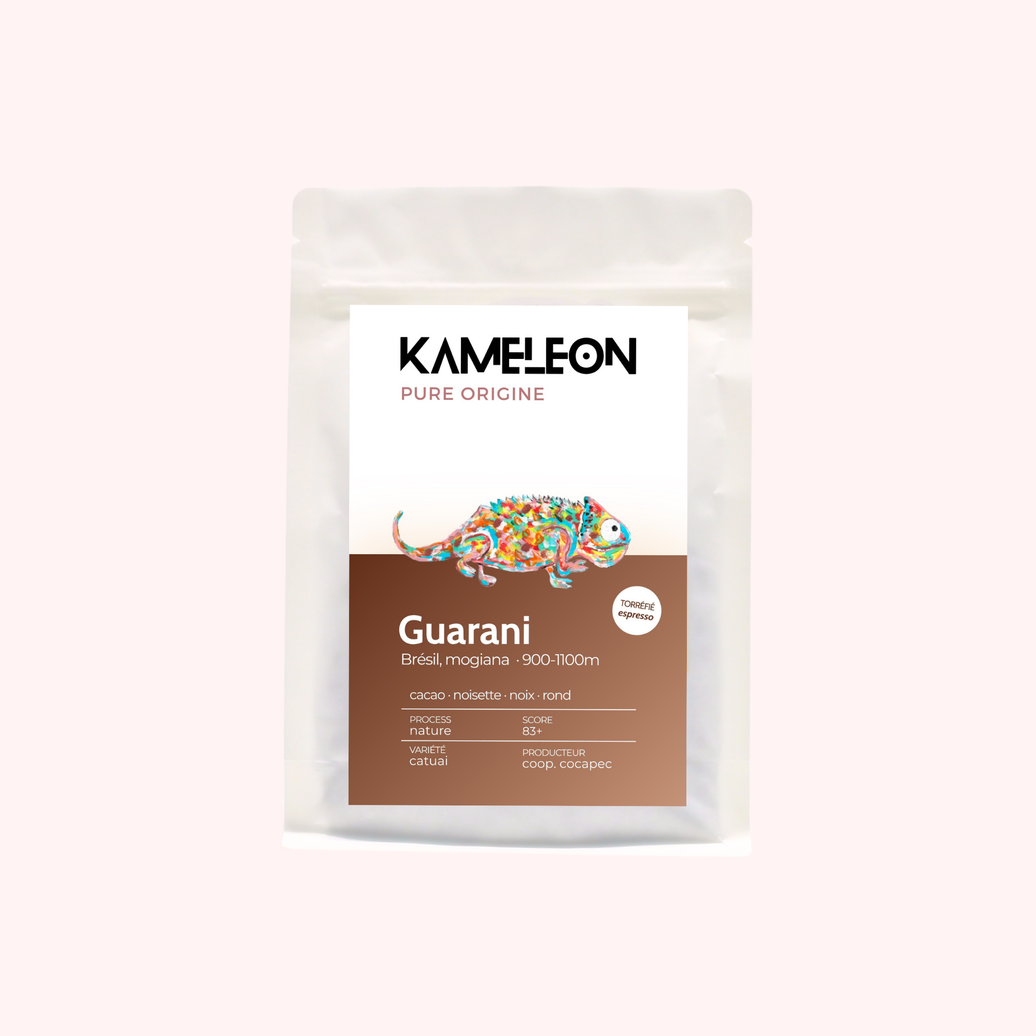Guarani · BRÉSIL