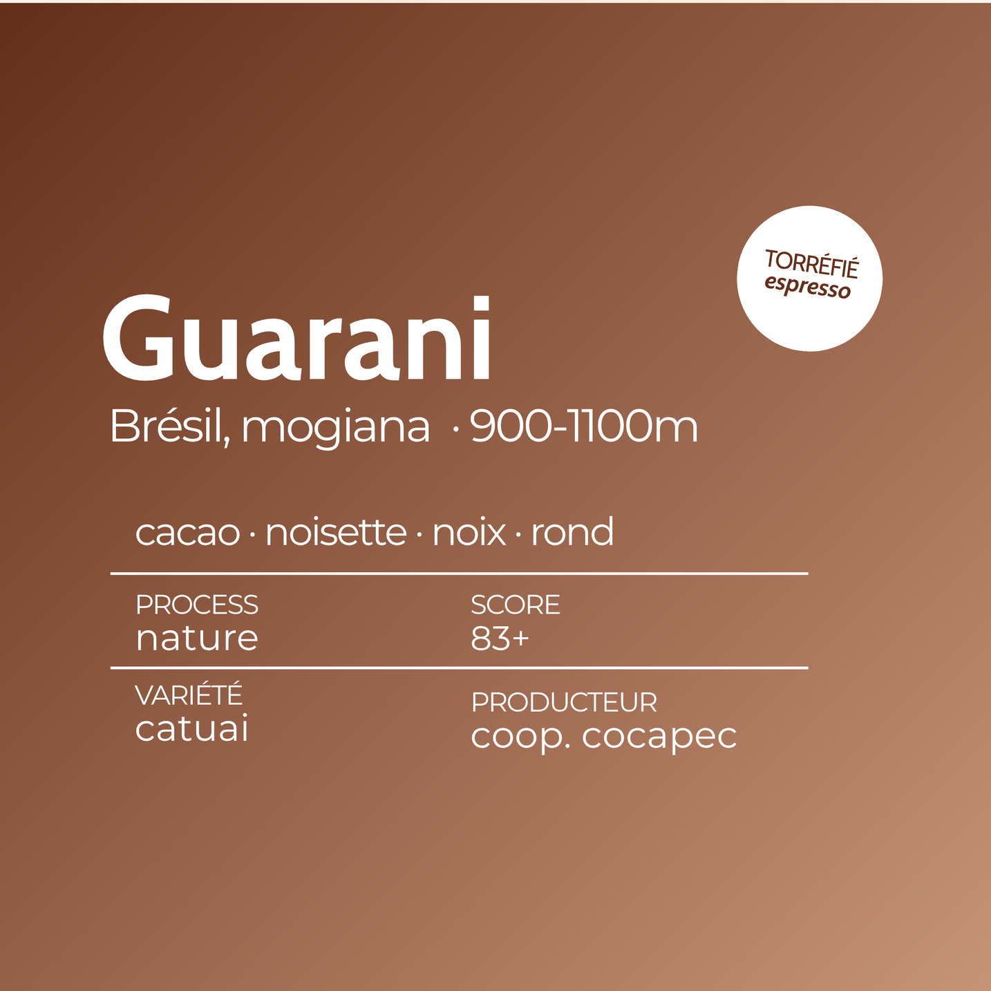 Guarani · BRÉSIL