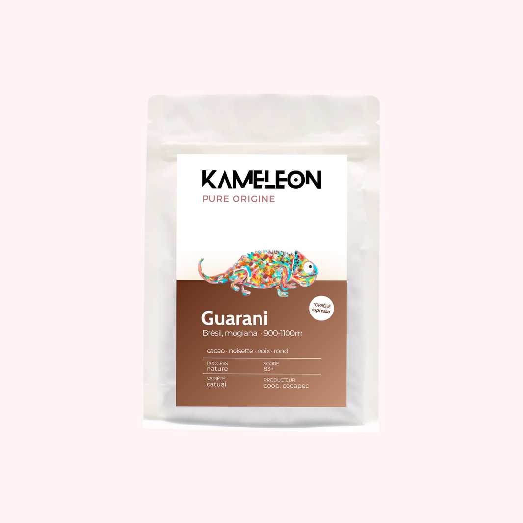 Guarani · BRÉSIL