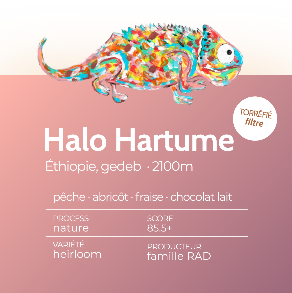 Halo Hartume · ÉTHIOPIE