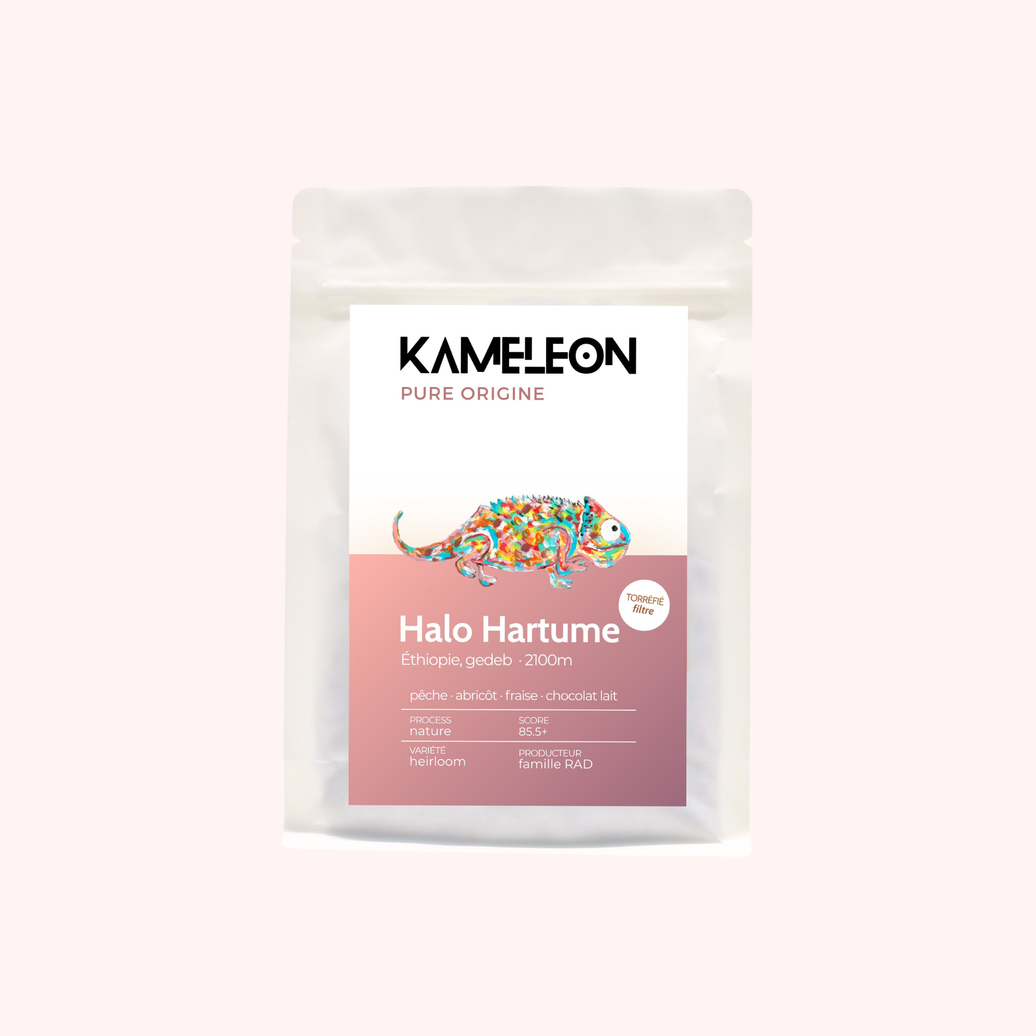Halo Hartume · ÉTHIOPIE