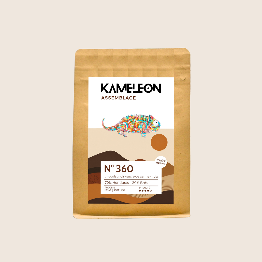Assemblage N°360